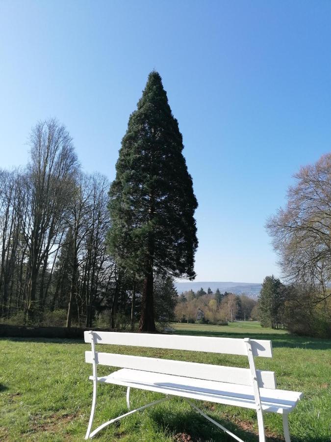 Ferienwohnungen An Der Hufeland-Therme 巴特皮尔蒙特 外观 照片